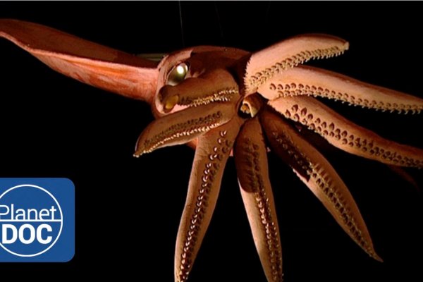 Kraken